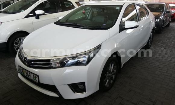 Acheter Occasion Voiture Toyota Corolla Blanc à Beitbridge, Matabeleland South Acheter Occasion Voiture Toyota Corolla Blanc à Beitbridge, Matabeleland South