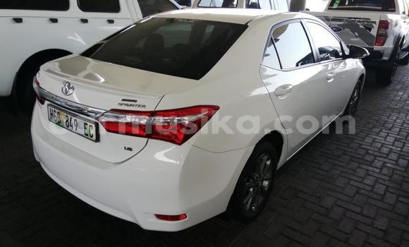 Acheter Occasion Voiture Toyota Corolla Blanc à Beitbridge, Matabeleland South Acheter Occasion Voiture Toyota Corolla Blanc à Beitbridge, Matabeleland South