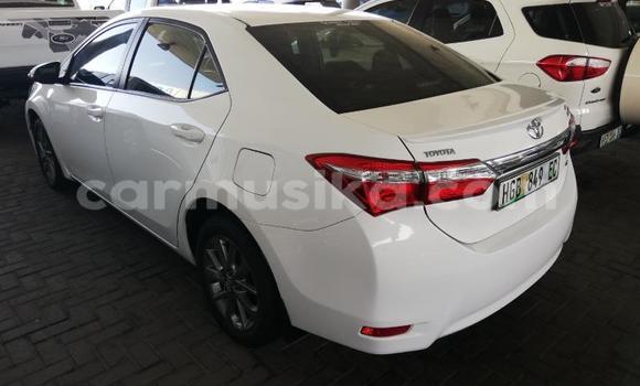 Acheter Occasion Voiture Toyota Corolla Blanc à Beitbridge, Matabeleland South Acheter Occasion Voiture Toyota Corolla Blanc à Beitbridge, Matabeleland South