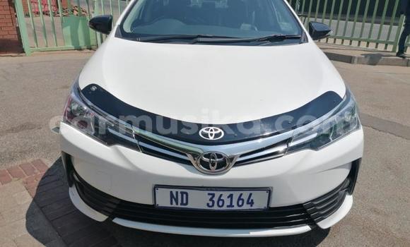 Nunua Ilio tumika Toyota Corolla Nyeupe Gari ndani ya Beitbridge nchini Matabeleland Kusini