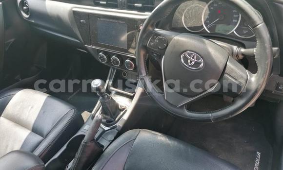 Acheter Occasion Voiture Toyota Corolla Blanc à Beitbridge, Matabeleland South Acheter Occasion Voiture Toyota Corolla Blanc à Beitbridge, Matabeleland South