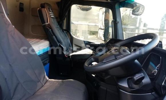 Buy Used Man D20 Other Truck in Beitbridge in Matabeleland South Buy Used Man D20 Other Truck in Beitbridge in Matabeleland South