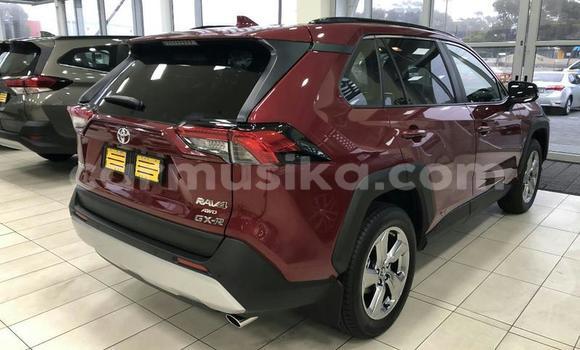 Buy Used Toyota RAV4 Other Car in Beitbridge in Matabeleland South Buy Used Toyota RAV4 Other Car in Beitbridge in Matabeleland South