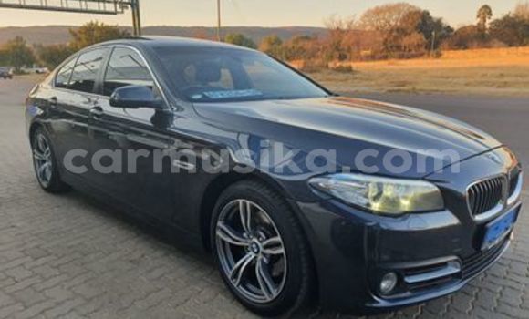 Tenga Tsaru BMW 5–Series Sirivha Mota in Beitbridge in Matabeleland South