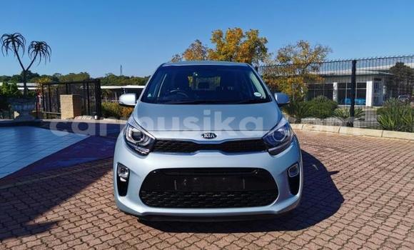 Buy Used Kia Picanto Silver Car in Beitbridge in Matabeleland South