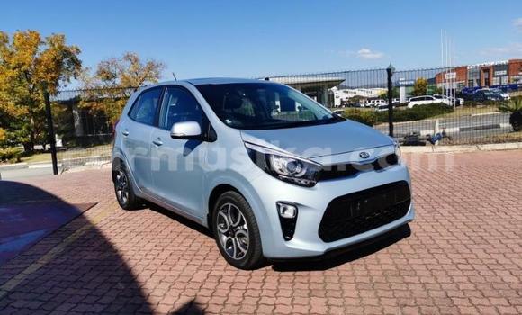 Acheter Occasion Voiture Kia Picanto Gris à Beitbridge, Matabeleland South Acheter Occasion Voiture Kia Picanto Gris à Beitbridge, Matabeleland South