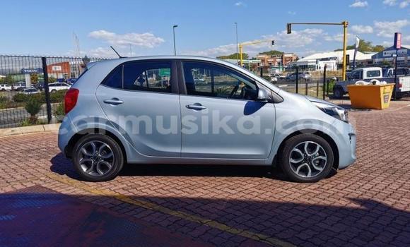 Acheter Occasion Voiture Kia Picanto Gris à Beitbridge, Matabeleland South Acheter Occasion Voiture Kia Picanto Gris à Beitbridge, Matabeleland South