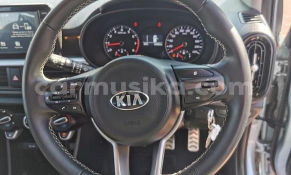 Acheter Occasion Voiture Kia Picanto Gris à Beitbridge, Matabeleland South Acheter Occasion Voiture Kia Picanto Gris à Beitbridge, Matabeleland South
