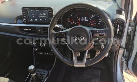 Acheter Occasion Voiture Kia Picanto Gris à Beitbridge, Matabeleland South Acheter Occasion Voiture Kia Picanto Gris à Beitbridge, Matabeleland South