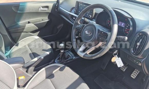 Acheter Occasion Voiture Kia Picanto Gris à Beitbridge, Matabeleland South Acheter Occasion Voiture Kia Picanto Gris à Beitbridge, Matabeleland South