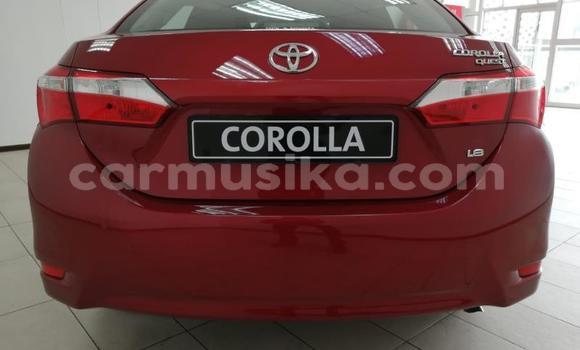 Acheter Occasion Voiture Toyota Corolla Rouge à Beitbridge, Matabeleland South Acheter Occasion Voiture Toyota Corolla Rouge à Beitbridge, Matabeleland South