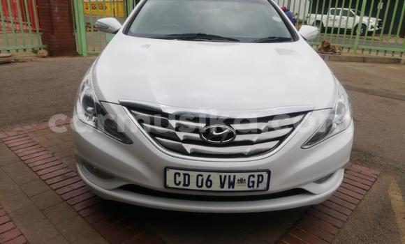 Nunua Ilio tumika Hyundai Sonata Nyeupe Gari ndani ya Beitbridge nchini Matabeleland Kusini