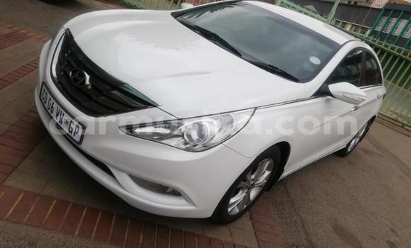 Acheter Occasion Voiture Hyundai Sonata Blanc à Beitbridge, Matabeleland South Acheter Occasion Voiture Hyundai Sonata Blanc à Beitbridge, Matabeleland South
