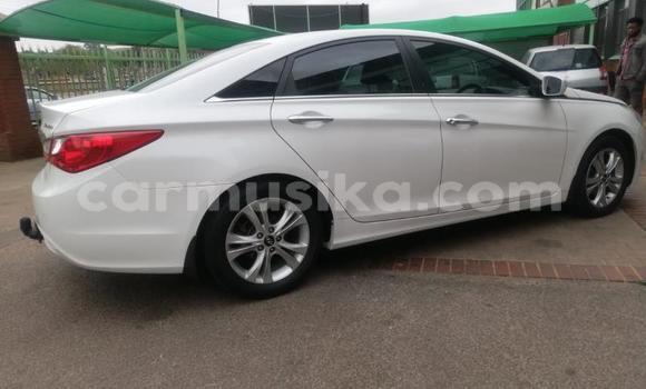 Buy Used Hyundai Sonata White Car in Beitbridge in Matabeleland South Buy Used Hyundai Sonata White Car in Beitbridge in Matabeleland South