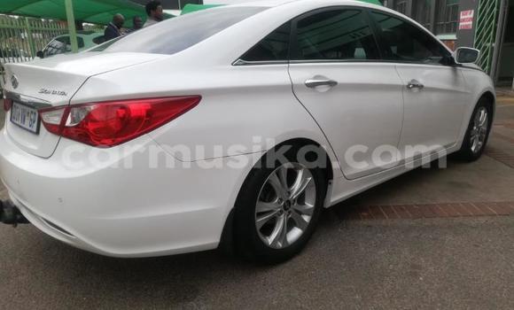 Buy Used Hyundai Sonata White Car in Beitbridge in Matabeleland South Buy Used Hyundai Sonata White Car in Beitbridge in Matabeleland South