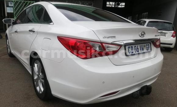 Buy Used Hyundai Sonata White Car in Beitbridge in Matabeleland South Buy Used Hyundai Sonata White Car in Beitbridge in Matabeleland South