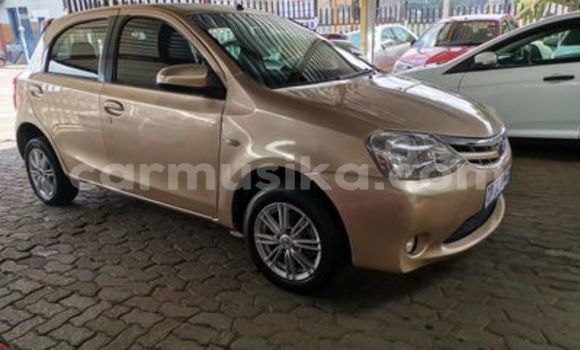 Buy Used Toyota Etios Beige Car in Beitbridge in Matabeleland South Buy Used Toyota Etios Beige Car in Beitbridge in Matabeleland South