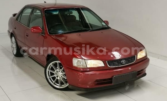 Buy Used Toyota Corolla Other Car in Belvedere in Harare