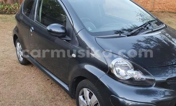 Tenga Tsaru Toyota Aygo Zvimwe Mota in Beitbridge in Matabeleland South Tenga Tsaru Toyota Aygo Zvimwe Mota in Beitbridge in Matabeleland South