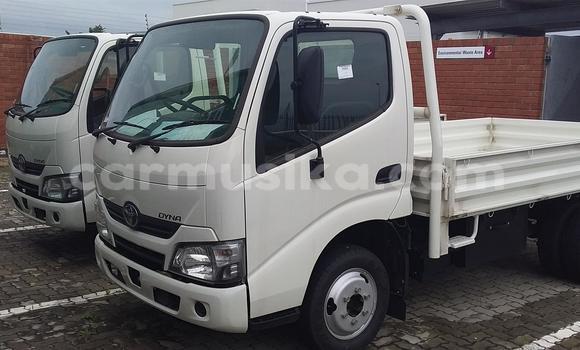 Buy Used Toyota Dyna White Car in Beitbridge in Matabeleland South