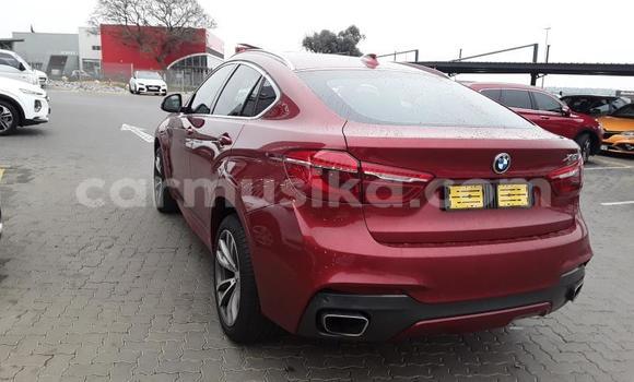 Tenga Tsaru BMW X6 Beige Mota in Harare in Harare Tenga Tsaru BMW X6 Beige Mota in Harare in Harare