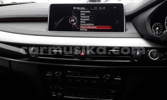 Tenga Tsaru BMW X6 Beige Mota in Harare in Harare Tenga Tsaru BMW X6 Beige Mota in Harare in Harare