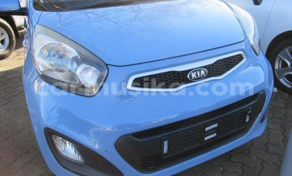 Acheter Occasion Voiture Kia Picanto Bleu à Beitbridge, Matabeleland South