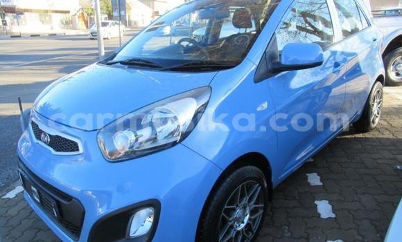 Buy Used Kia Picanto Blue Car in Beitbridge in Matabeleland South Buy Used Kia Picanto Blue Car in Beitbridge in Matabeleland South
