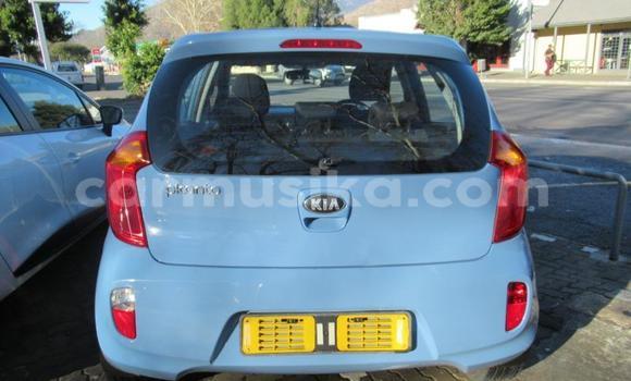 Buy Used Kia Picanto Blue Car in Beitbridge in Matabeleland South Buy Used Kia Picanto Blue Car in Beitbridge in Matabeleland South