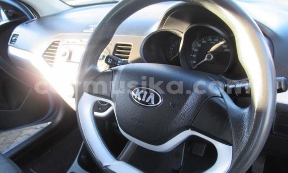 Buy Used Kia Picanto Blue Car in Beitbridge in Matabeleland South Buy Used Kia Picanto Blue Car in Beitbridge in Matabeleland South