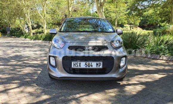 Acheter Occasion Voiture Kia Picanto Beige à Beitbridge, Matabeleland South