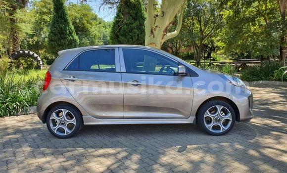 Acheter Occasion Voiture Kia Picanto Beige à Beitbridge, Matabeleland South Acheter Occasion Voiture Kia Picanto Beige à Beitbridge, Matabeleland South