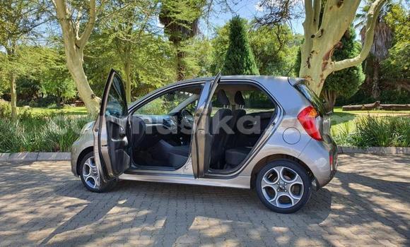 Acheter Occasion Voiture Kia Picanto Beige à Beitbridge, Matabeleland South Acheter Occasion Voiture Kia Picanto Beige à Beitbridge, Matabeleland South