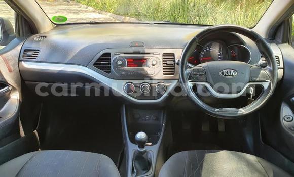 Acheter Occasion Voiture Kia Picanto Beige à Beitbridge, Matabeleland South Acheter Occasion Voiture Kia Picanto Beige à Beitbridge, Matabeleland South