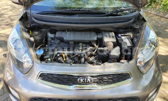 Acheter Occasion Voiture Kia Picanto Beige à Beitbridge, Matabeleland South Acheter Occasion Voiture Kia Picanto Beige à Beitbridge, Matabeleland South