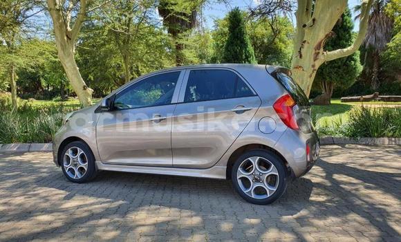 Acheter Occasion Voiture Kia Picanto Beige à Beitbridge, Matabeleland South Acheter Occasion Voiture Kia Picanto Beige à Beitbridge, Matabeleland South