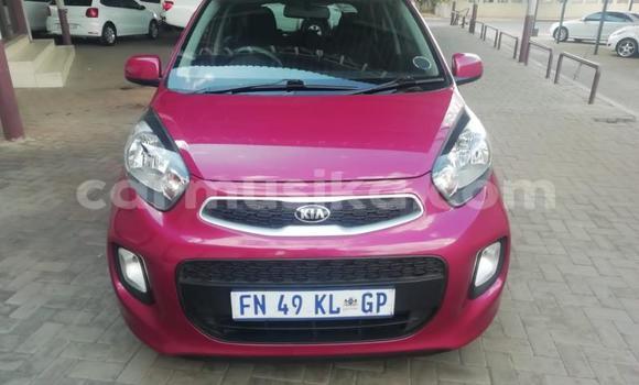 Buy Used Kia Picanto Other Car in Beitbridge in Matabeleland South