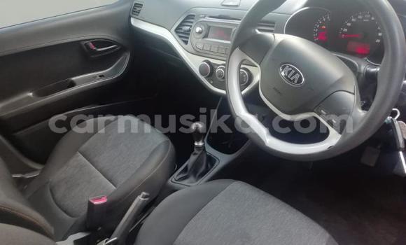 Acheter Occasion Voiture Kia Picanto Autre à Beitbridge, Matabeleland South Acheter Occasion Voiture Kia Picanto Autre à Beitbridge, Matabeleland South