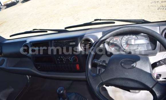 Tenga Tsaru Hino 300 Series Chena Rori in Beitbridge in Matabeleland South Tenga Tsaru Hino 300 Series Chena Rori in Beitbridge in Matabeleland South