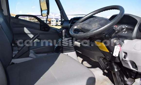 Tenga Tsaru Hino 300 Series Chena Rori in Beitbridge in Matabeleland South Tenga Tsaru Hino 300 Series Chena Rori in Beitbridge in Matabeleland South