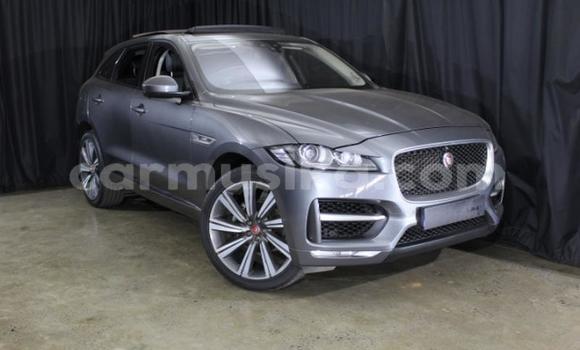 Nunua Ilio tumika Jaguar F-Pace Nyingine Gari ndani ya Harare nchini Harare