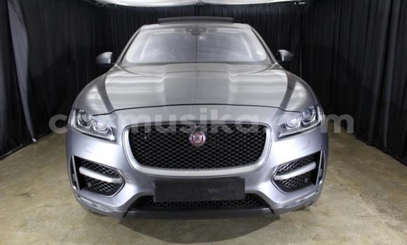 Acheter Occasion Voiture Jaguar F-Pace Autre à Harare, Harare Acheter Occasion Voiture Jaguar F-Pace Autre à Harare, Harare