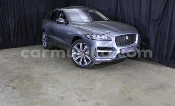 Acheter Occasion Voiture Jaguar F-Pace Autre à Harare, Harare Acheter Occasion Voiture Jaguar F-Pace Autre à Harare, Harare