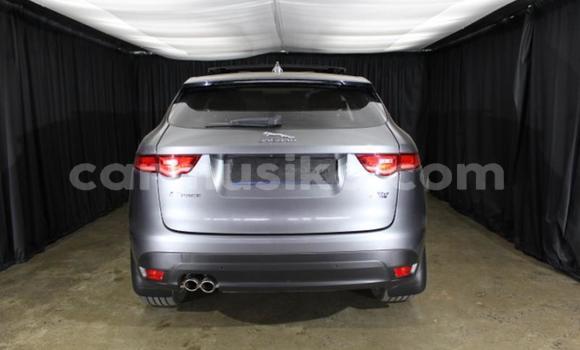 Acheter Occasion Voiture Jaguar F-Pace Autre à Harare, Harare Acheter Occasion Voiture Jaguar F-Pace Autre à Harare, Harare