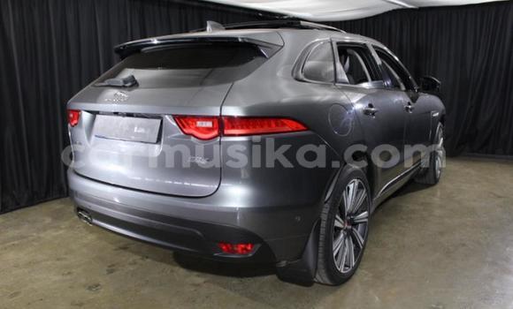 Acheter Occasion Voiture Jaguar F-Pace Autre à Harare, Harare Acheter Occasion Voiture Jaguar F-Pace Autre à Harare, Harare