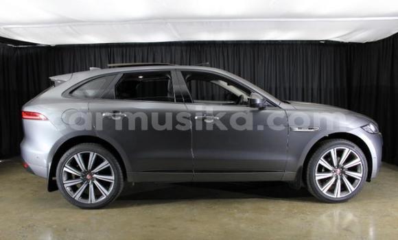 Acheter Occasion Voiture Jaguar F-Pace Autre à Harare, Harare Acheter Occasion Voiture Jaguar F-Pace Autre à Harare, Harare