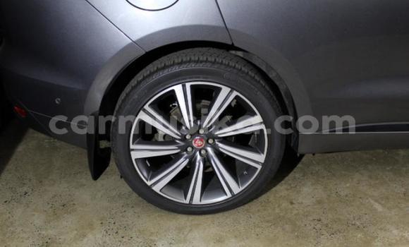 Acheter Occasion Voiture Jaguar F-Pace Autre à Harare, Harare Acheter Occasion Voiture Jaguar F-Pace Autre à Harare, Harare