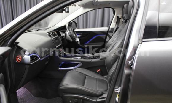 Acheter Occasion Voiture Jaguar F-Pace Autre à Harare, Harare Acheter Occasion Voiture Jaguar F-Pace Autre à Harare, Harare