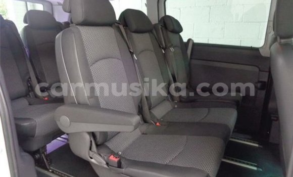 Tenga Tsaru Mercedes‒Benz Vito Chena Mota in Beitbridge in Matabeleland South Tenga Tsaru Mercedes‒Benz Vito Chena Mota in Beitbridge in Matabeleland South