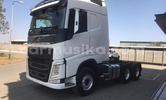 Tenga Tsaru Volvo F4 Chena Rori in Harare in Harare Tenga Tsaru Volvo F4 Chena Rori in Harare in Harare